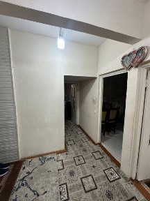 olmazor tumani qora qamish 2/5 3/3/4 70kv a44