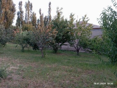 Ташкентская область, Искандар