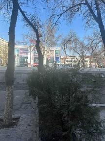 Ташкентская область, Ташкент, Мирзо-Улугбекский район