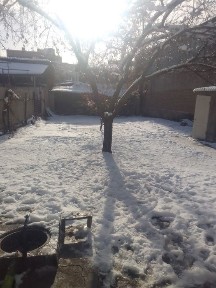 Ташкентская область, Ташкент, Мирзо-Улугбекский район