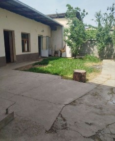 Kvartira arenda ewonguzar nurhayot HOVLI