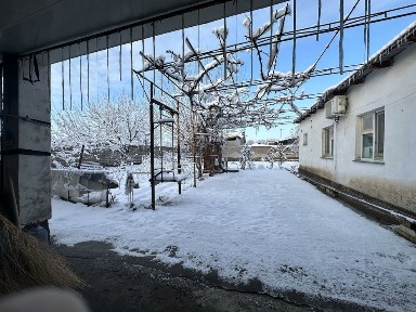 Продается дом на земле (6соток)