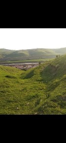 Ташкентская область, Газалкент