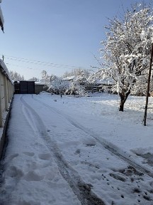 Uy sotiladi 12 sotix