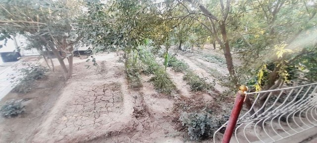 Уй сотилади Термез Термез махалласида жойлашган