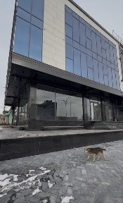 Продается коммерческое помещение, Бадамзар Юнусабад