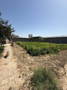 Ташкентская область, Зангиата