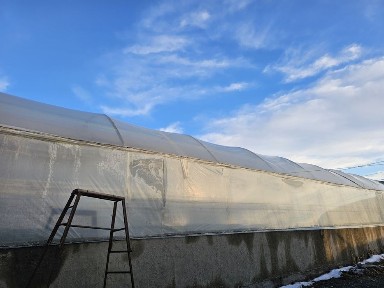Иссикхона Теплица Парник Лимонария Навоий Вилоят Кармана Эски Шахарда