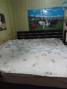 Сдается комната для проживания с хозяйкой