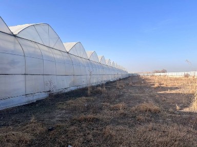 Buxoro shaxridan tayyor ishlab turgan issiqxona binosi sotiladi