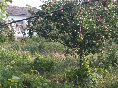 Уй сотилади 18000$ Бука СРОЧНА