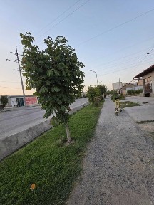 Magazin, Sotiladi ili Obmen kvartiru
