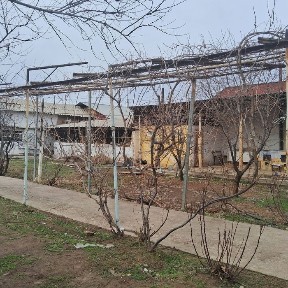 Ташкентская область, Ходжикент