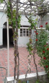 Навоийская область, Навои