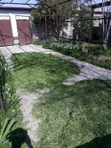 Ташкентская область, Янгибазар