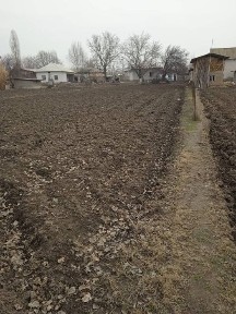 Ташкентская область, Ташморе