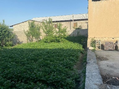 Самаркандская область, Самарканд