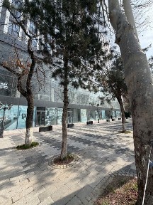 Сдается в аренду от 1000 м2 до 4000 м2 офисного помещения