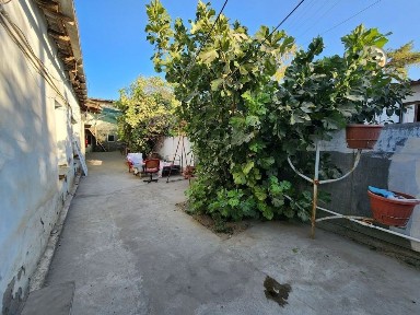 Самаркандская область, Самарканд