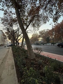 Срочна Продаётся Нежилой Помищения 1-линия Яккасарай 123 м2 фасад 12 м