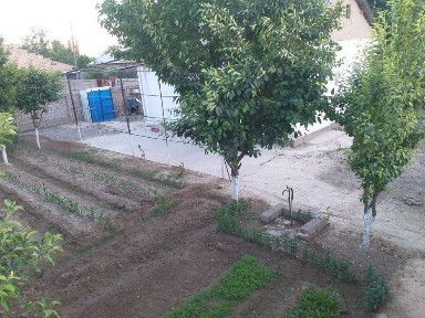 Ташкентская область, Янгиюль