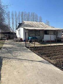 Ташкентская область, Бука