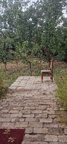 Чимганда дача сотилади тогни тепаси