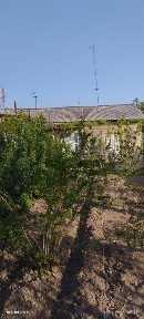 Ташкентская область, Кибрай