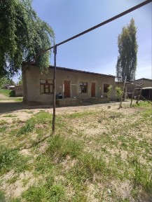 Ташкентская область, Янгиюль