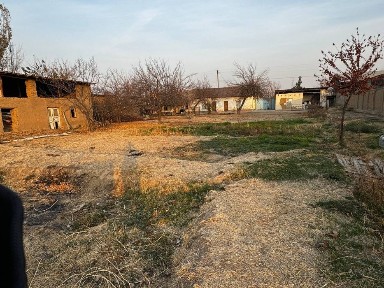 Ташкентская область, Нурафшан (Тойтепа)