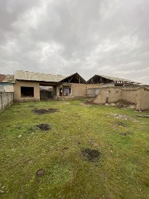 Ташкентская область, Янгибазар