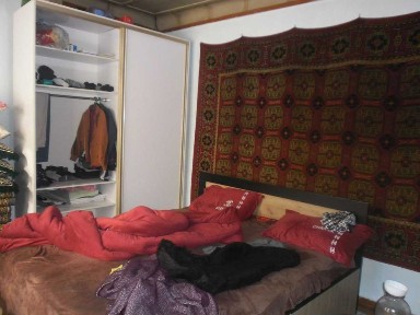 Ташкентская область, Янгиюль