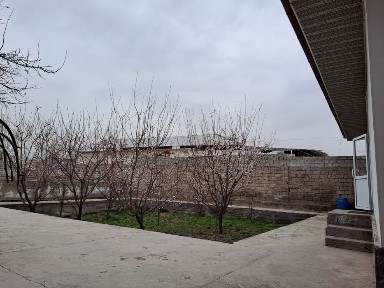 Ташкентская область, Янгибазар