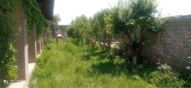 Ташкентская область, Келес