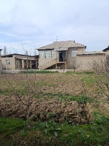 Ташкентская область, Янгибазар