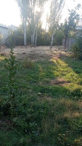 Ташкентская область, Ходжикент