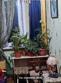 Сдаётся одна комната в 3-х комнатной квартире с хозяйкой. ЦЕНТР, Дархан