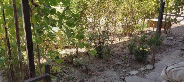 Ташкентская область, Карасу
