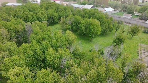 Янги Ташкент Продается уютная дача с большим земельным участком