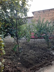 Продаётся 5 соток Яккасараский район