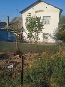 Ташкентская область, Янгиюль