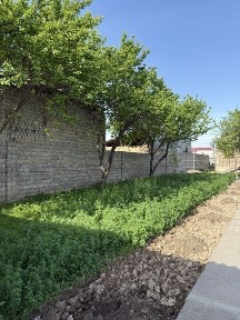 Дом, Участок (4/6/11 соток) Ташкент, Бектемир, Куйлюк, Food City
