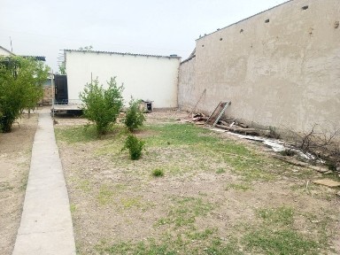 Dacha sotiladi Toshkent viloyati Bekobod shaxar