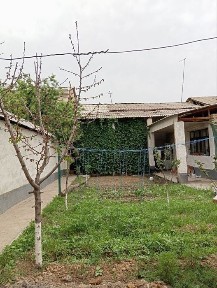 Sergili tumanida hovli sotiladi