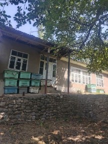 Уй сотилади 15 сутки сув сивт бор