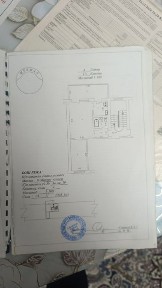 Qorasaroy olmazor