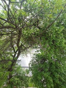 Квартира от собственника