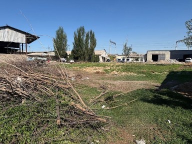 Ташкентская область, Келес