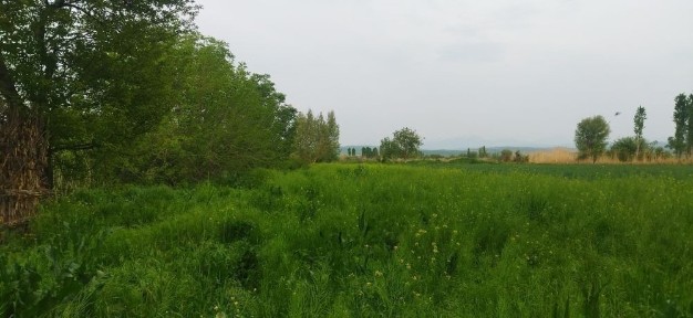 Бустолик тумани Карабайда уй сотилади