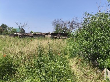 Дача возле ташморя
